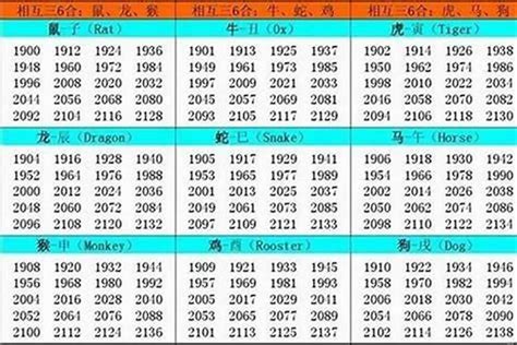 2002年五行属什么|2002年属什么生肖 2002年属什么的生肖